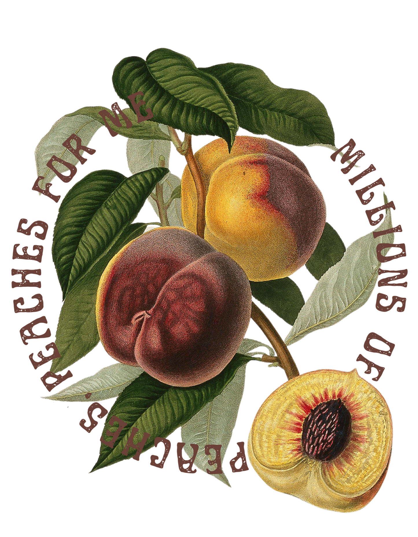 Millions of Peaches Tee Shirt - Vintage Peach Illustration